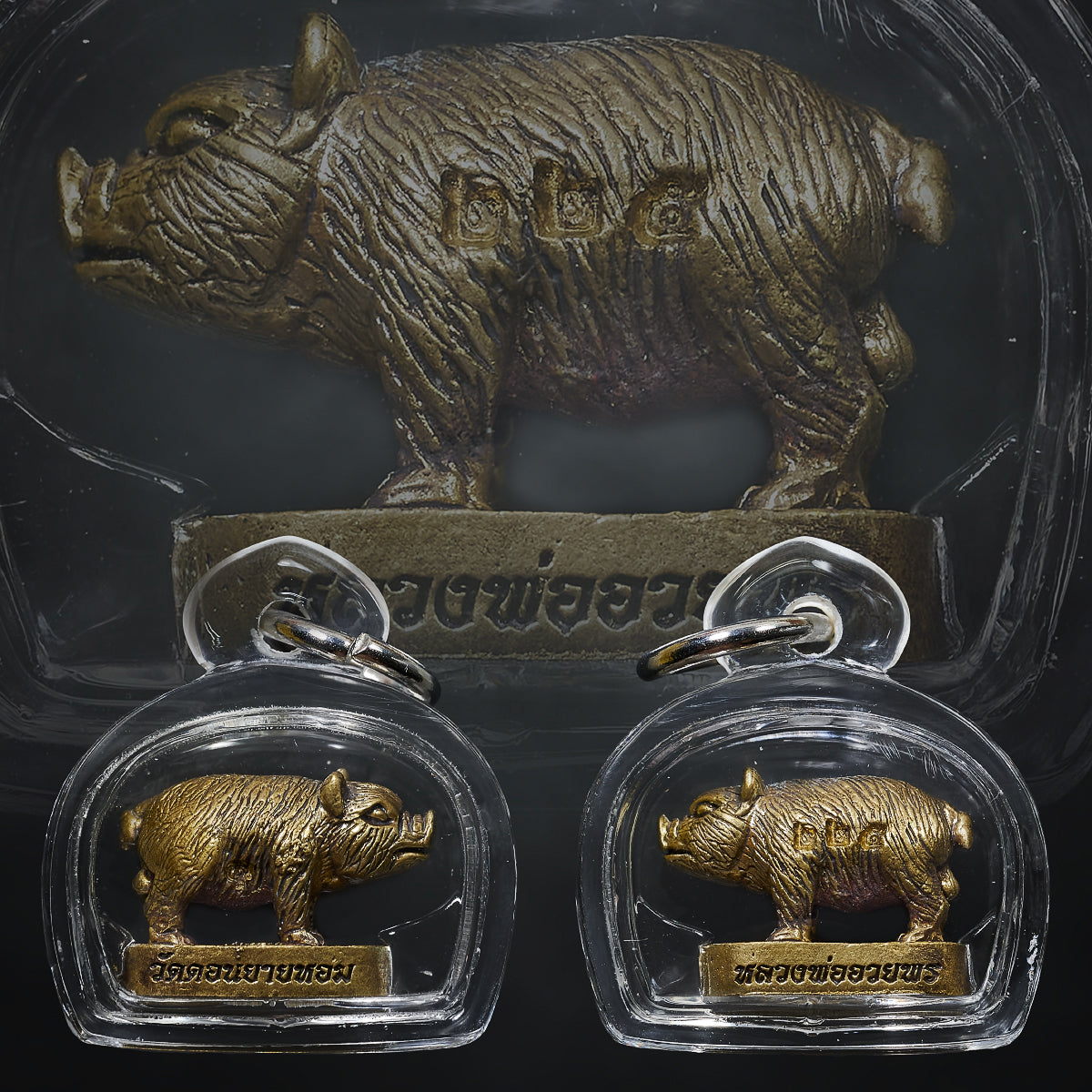 Lp Waypon wat Don Yai Hom