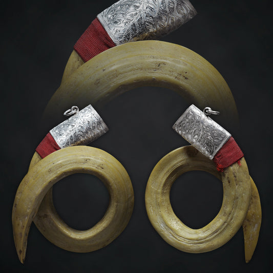 Closed-Circle Boar Tusk